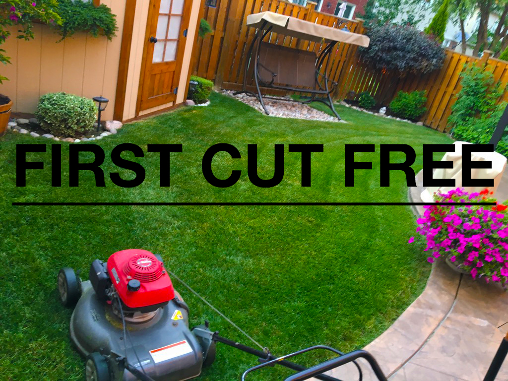 K&S Lawn Care | 26 Stouffer St, Whitchurch-Stouffville, ON L4A 5Z8, Canada | Phone: (416) 768-9393