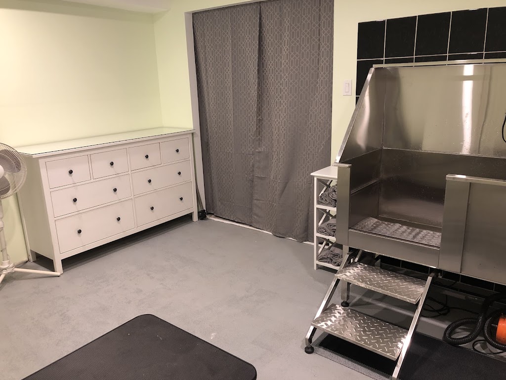 Kanine Klips | 8063 NS-311, Tatamagouche, NS B0K 1V0, Canada | Phone: (902) 305-7311