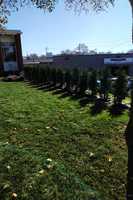 Alpine Lawncare & Snowplowing | 1803 Erbs Rd, St. Agatha, ON N0B 2L0, Canada | Phone: (519) 897-3401