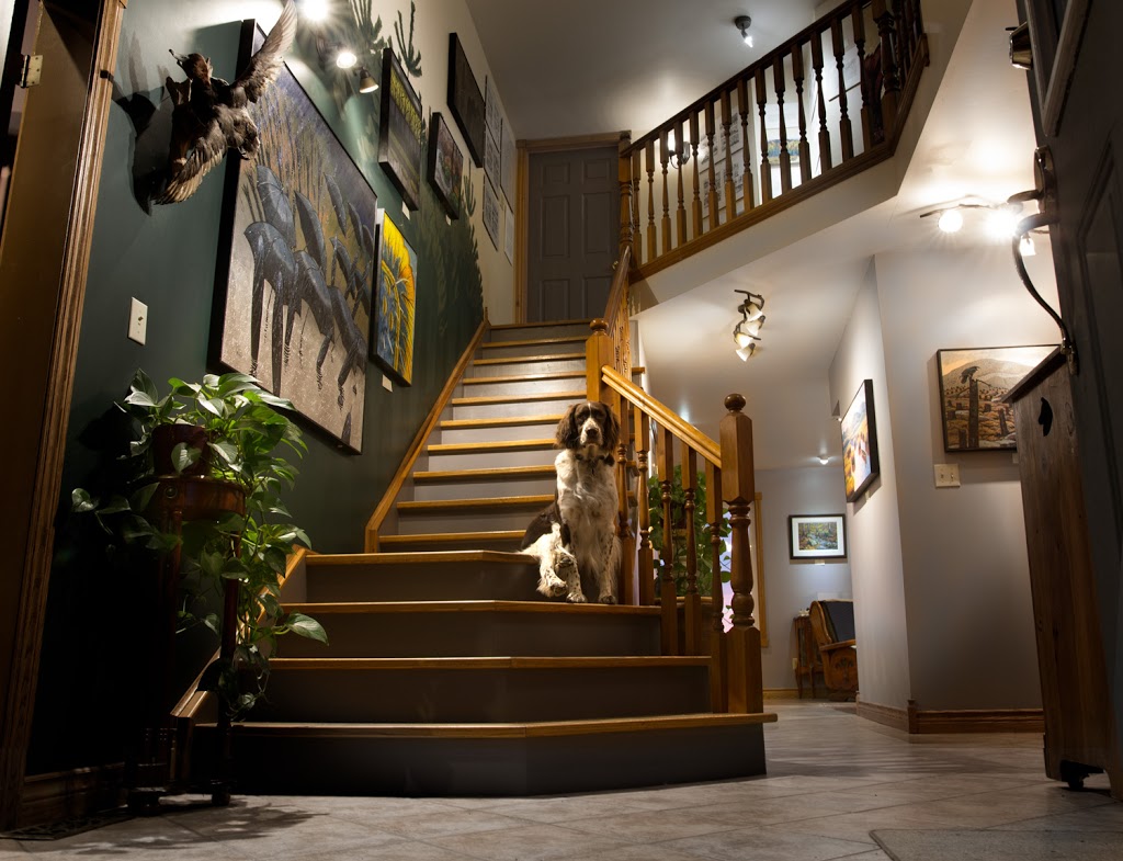 Quiet Retreat on Fish Lake bnb | 365 Fish Lake Rd, Demorestville, ON K0K 1W0, Canada | Phone: (613) 476-3816