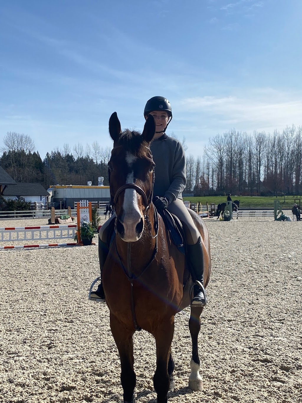 Ponte Equestrian Estates | 3564 224 St, Langley, BC V2Z 2G7, Canada | Phone: (778) 908-7636