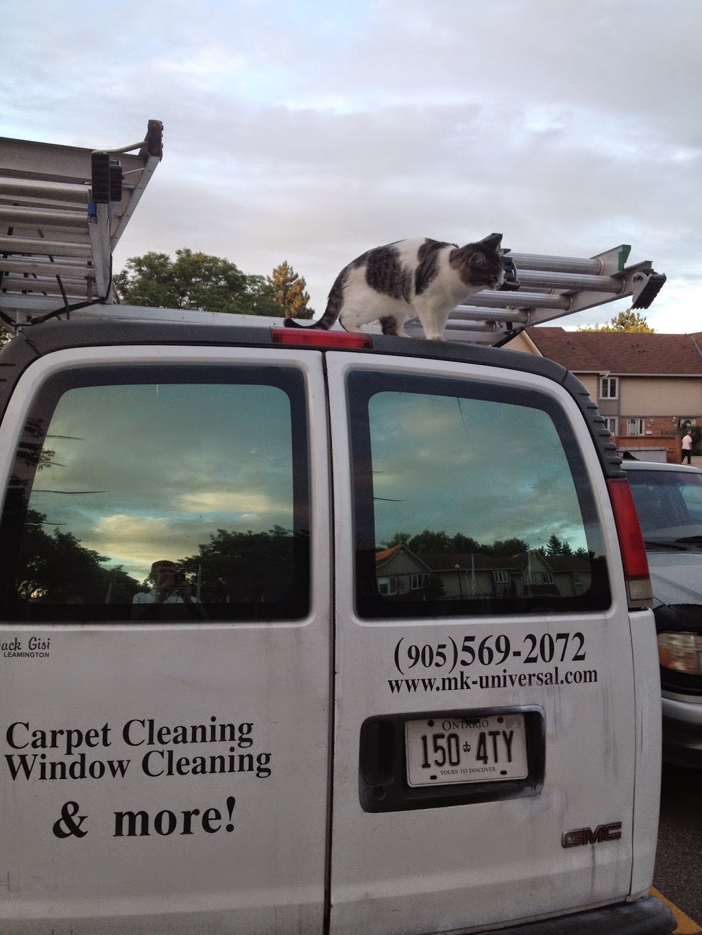 MK-UNIVERSAL CARPET CLEANING | 2079 The Collegeway #84, Mississauga, ON L5L 3M1, Canada | Phone: (905) 569-2072