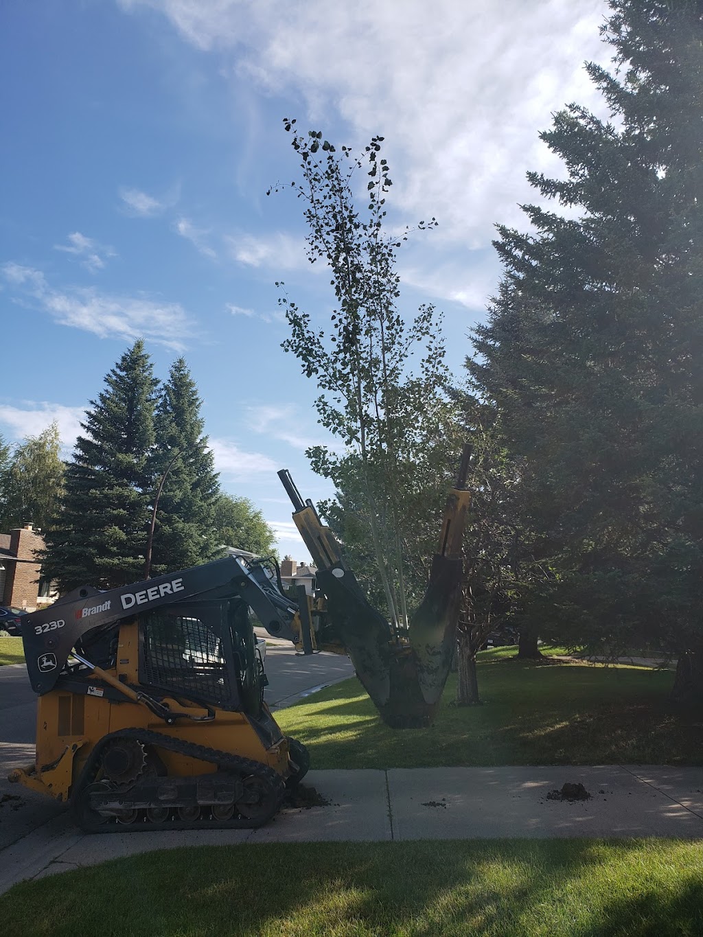 Vollmin Trees | 261043 Range Rd 24, Calgary, AB T3R 1E3, Canada | Phone: (403) 860-6957