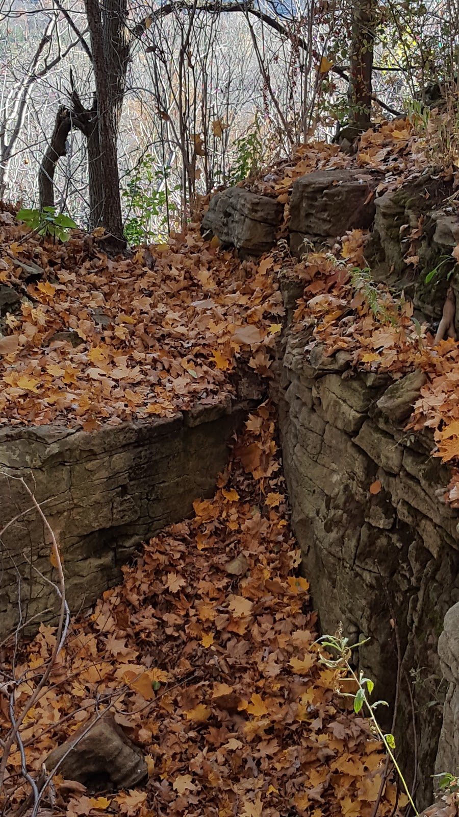 Rock Chapel Mushroom Farm | 277 Rock Chapel Rd, Dundas, ON L9H 5E2, Canada | Phone: (905) 628-6058