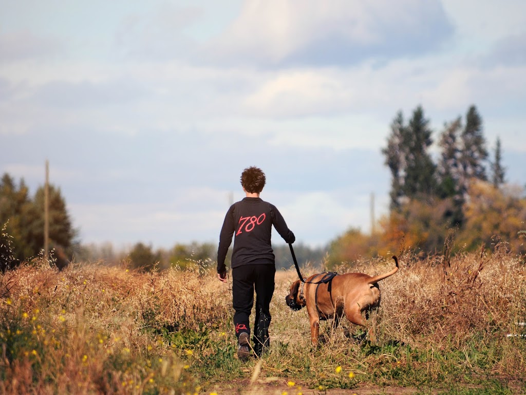 780 Kennels | 51227 Range Rd 280, Alberta T7Y 3H6, Canada | Phone: (780) 887-8805