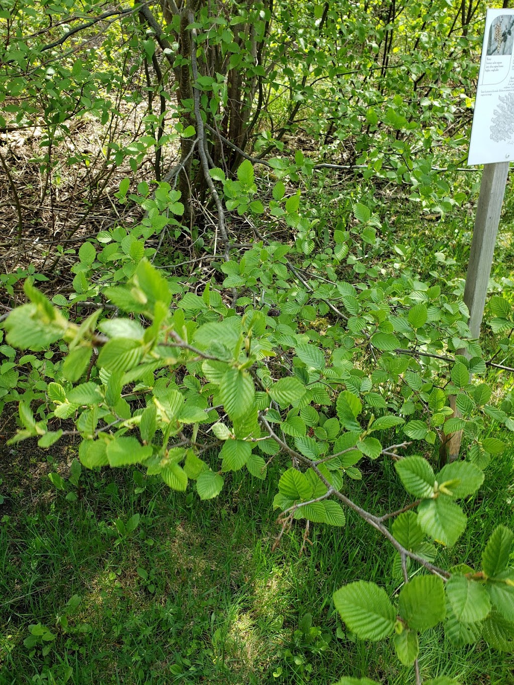 Aventure Plume Blanche (site) | 607 Rang 2 Sud, Roberval, QC G8H 2M9, Canada | Phone: (418) 275-6857