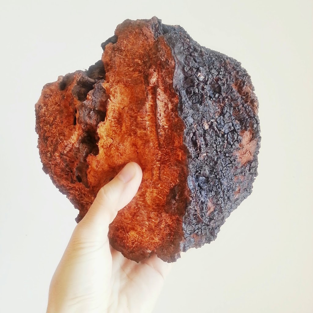 Culcherd | 228 Canarctic Dr, North York, ON M3J 2P4, Canada | Phone: (416) 837-3384