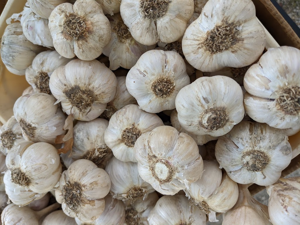 East St. Paul Farmers Market | 302 Hoddinott Rd, East Saint Paul, MB R2E 0H7, Canada | Phone: (204) 668-8336
