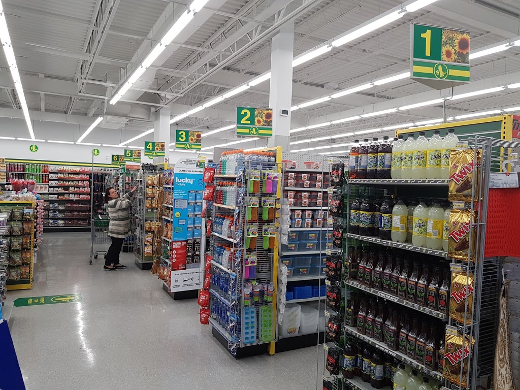 Dollarama | 144 Rue Denison E, Granby, QC J2G 4C5, Canada | Phone: (450) 378-1687
