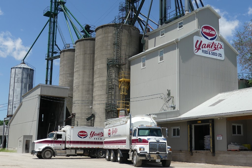 Yantzi Feed & Seed | 65 Woodstock St N, Tavistock, ON N0B 2R0, Canada | Phone: (519) 655-2033