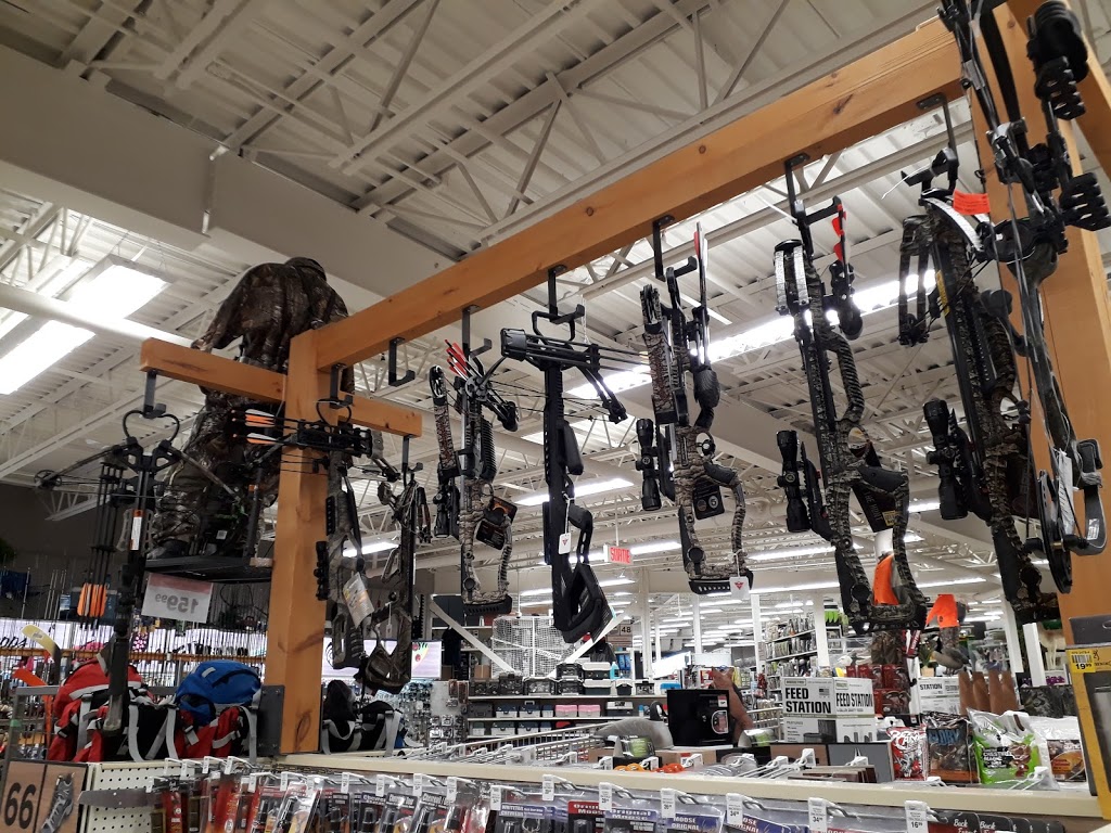 Canadian Tire | 50 Boul Morin, Sainte-Agathe-des-Monts, QC J8C 2V6, Canada | Phone: (819) 326-8900