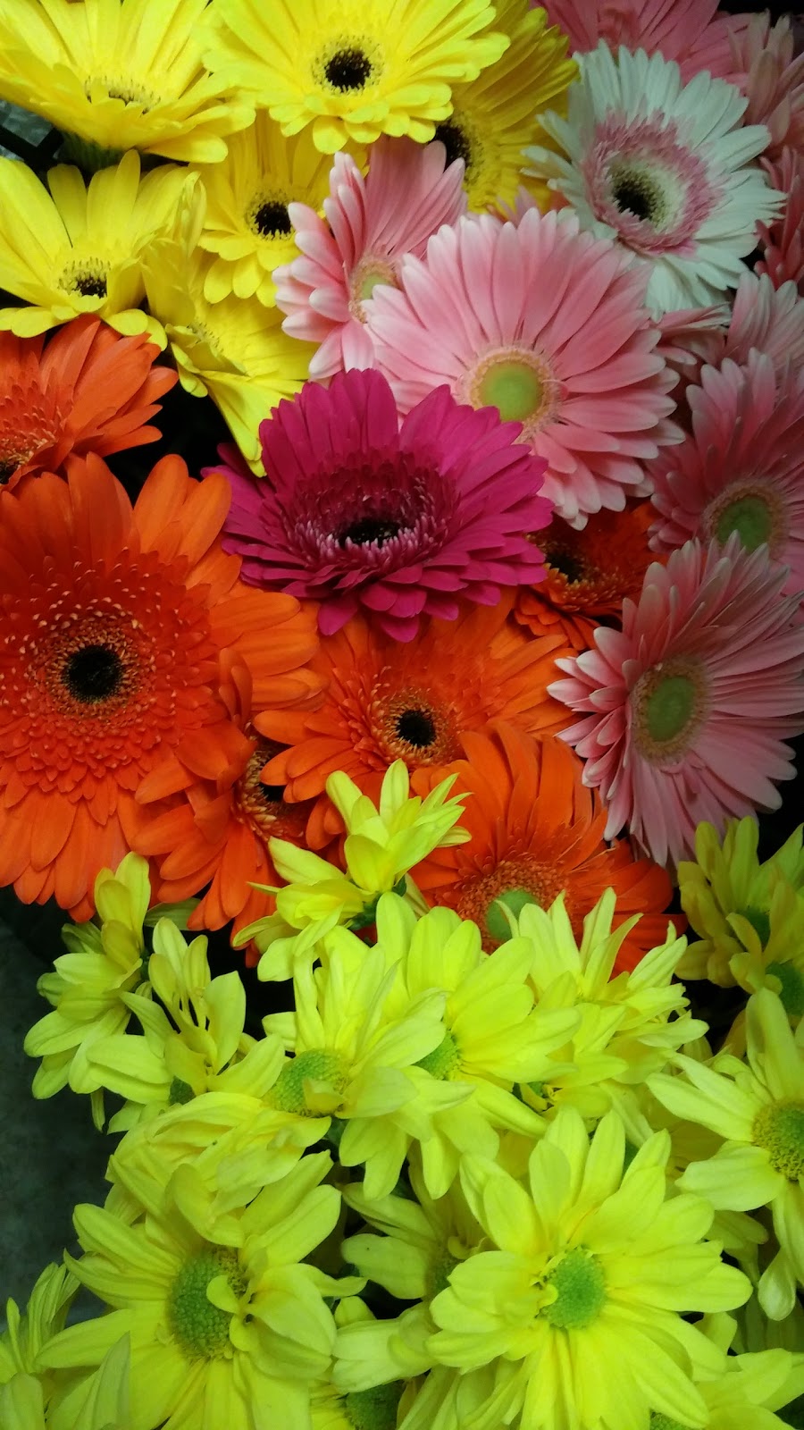Labelle Flowers | 270 George St, Arthur, ON N0G 1A0, Canada | Phone: (519) 848-5027