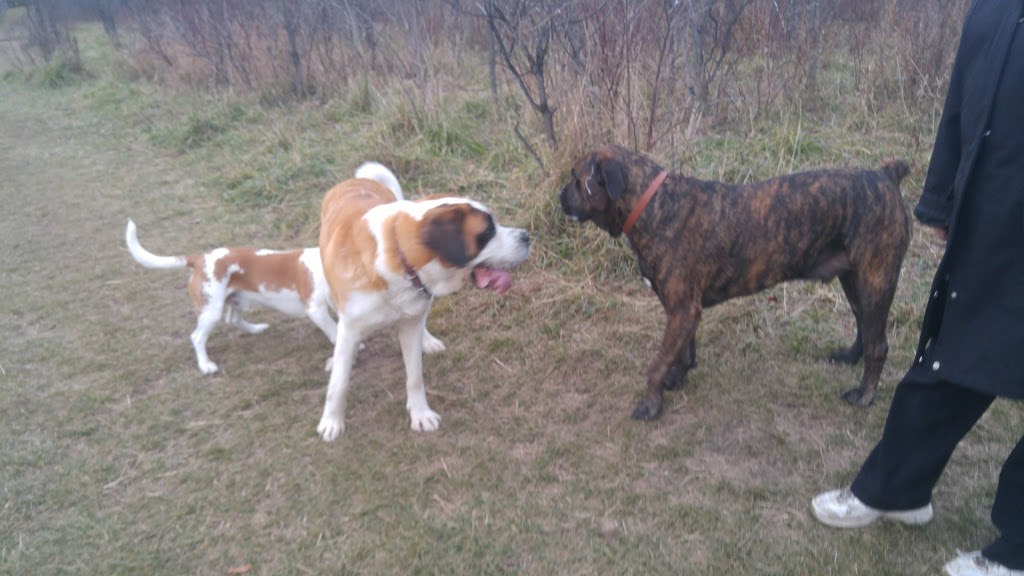 Rockland Dog Park | Poupart Rd, Rockland, ON K4K 1K9, Canada | Phone: (613) 487-3412