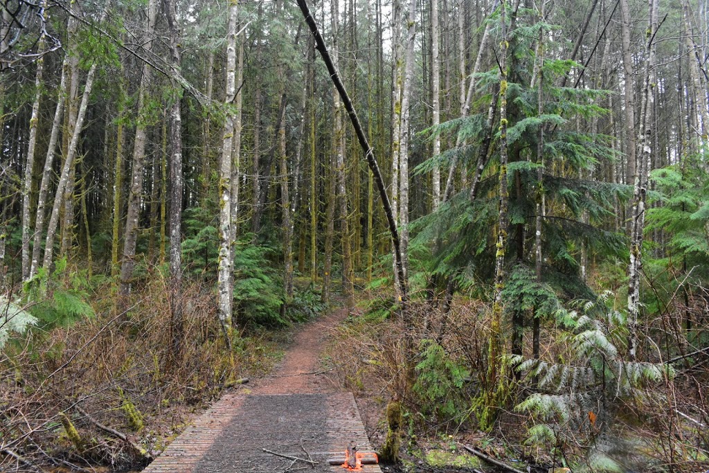 QAI Labs Outdoor Test Site | Marc Rd, Maple Ridge, BC V4R 2G5, Canada | Phone: (877) 461-8378