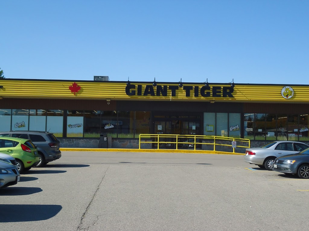 Giant Tiger | 421 Greenbrook Dr, Kitchener, ON N2M 4K1, Canada | Phone: (519) 569-8553