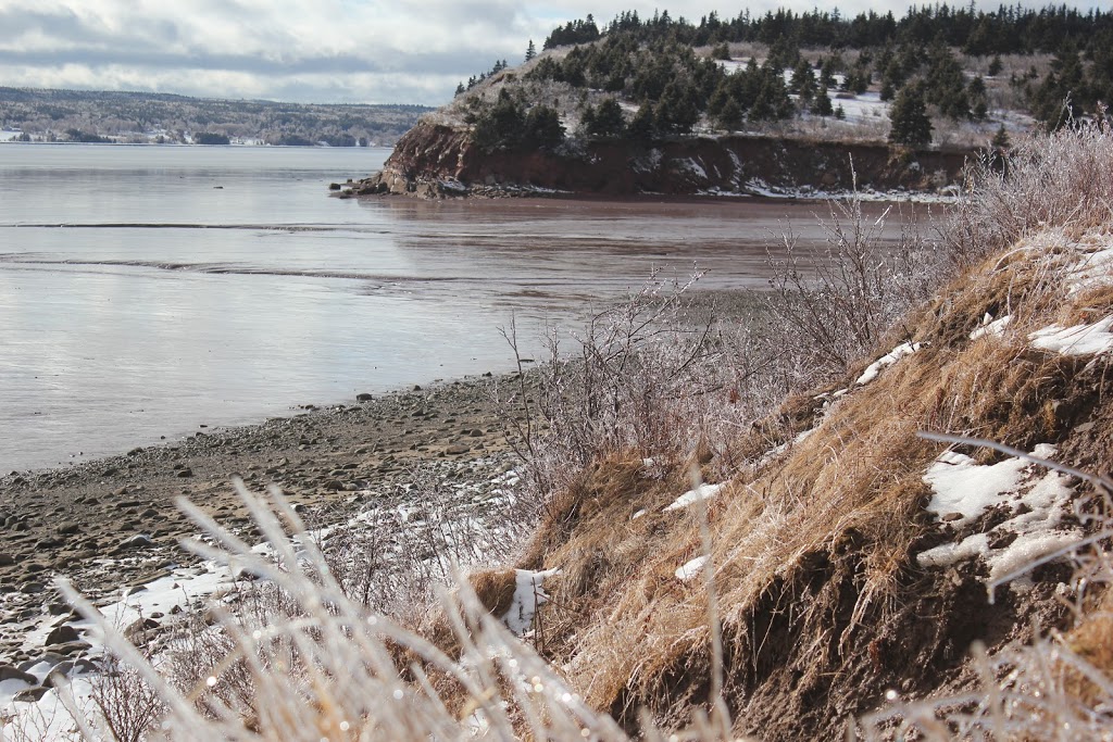 Fundy Biosphere Reserve | NB-935, Johnsons Mills, NB E4K 3N7, Canada | Phone: (506) 874-3272