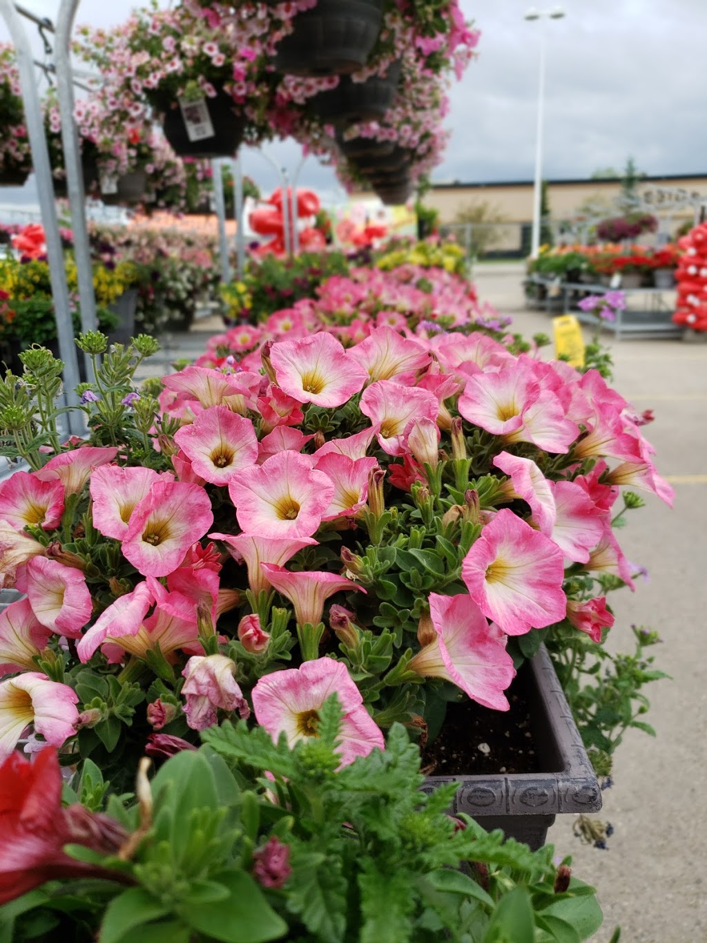 The Home Depot | 2020 101 St NW, Edmonton, AB T6N 1J2, Canada | Phone: (780) 433-6500