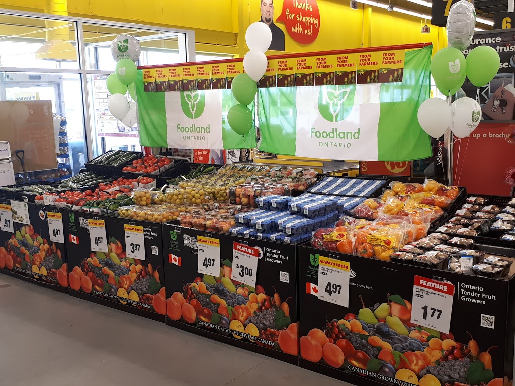 Johns No Frills | 101 2nd Line, Shelburne, ON L9V 3J4, Canada | Phone: (866) 987-6453