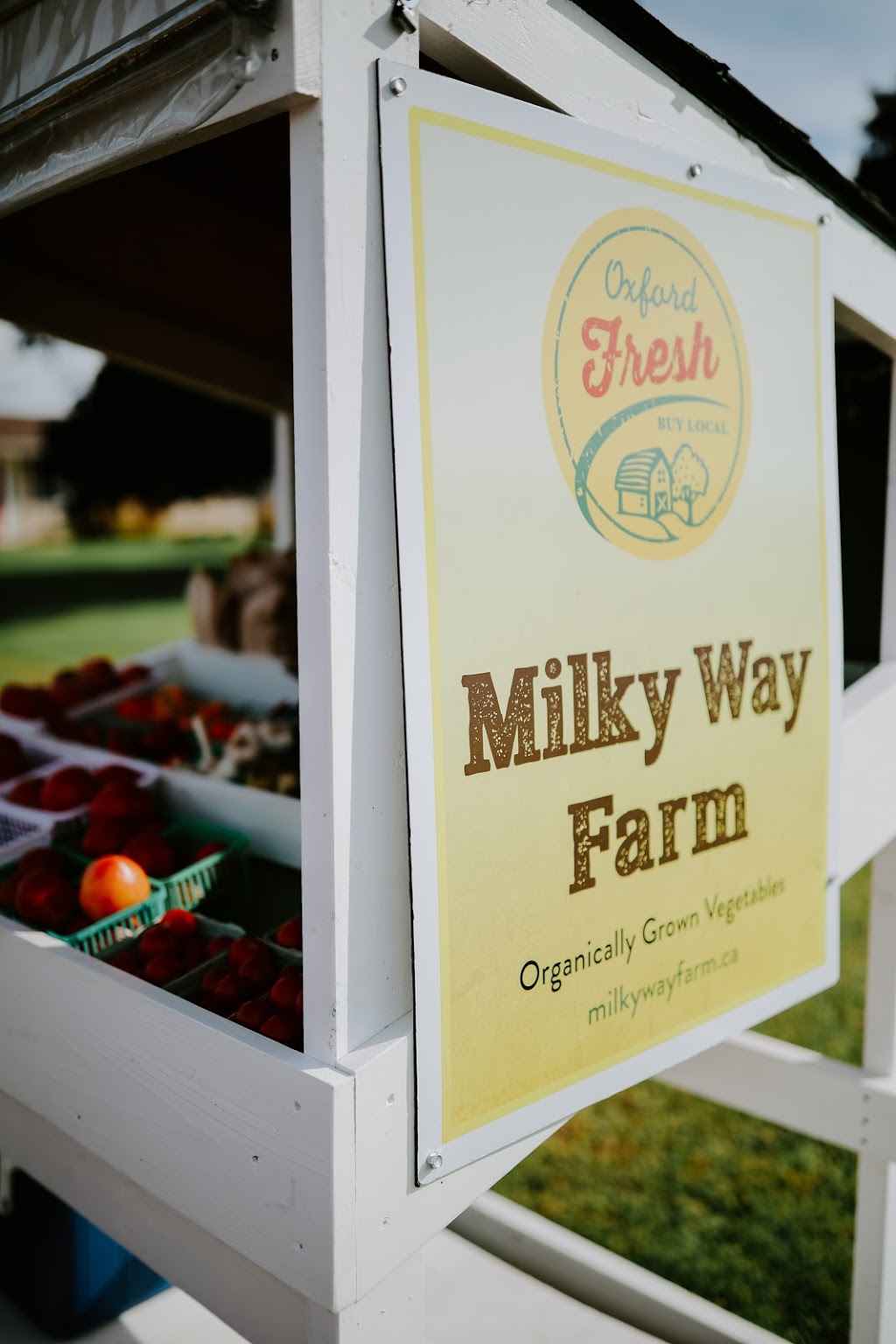 Milky Way Farm | 484872 Sweaburg Rd, Woodstock, ON N4S 7V6, Canada | Phone: (647) 268-0300