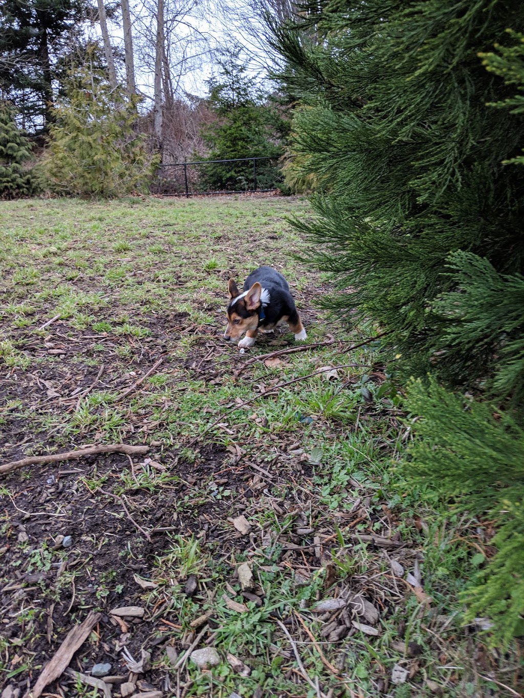 Squalicum Creek Park | 1001 Squalicum Way, Bellingham, WA 98225, USA | Phone: (360) 778-8000
