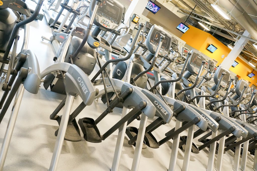Fit4Less | 6606 137 Ave NW #1102, Edmonton, AB T5C 2L2, Canada | Phone: (780) 472-7995