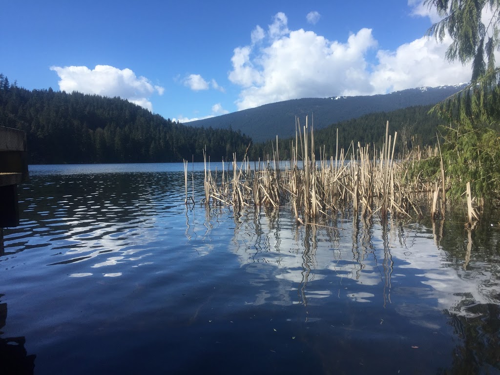 Belcarra Regional Park | Belcarra, BC V3H 4S1, Canada