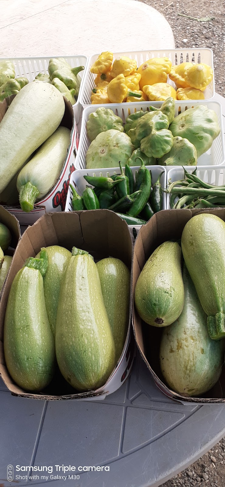 Mono Farm | 933128 Airport Rd, Mono, ON L9W 6C9, Canada | Phone: (647) 887-3255