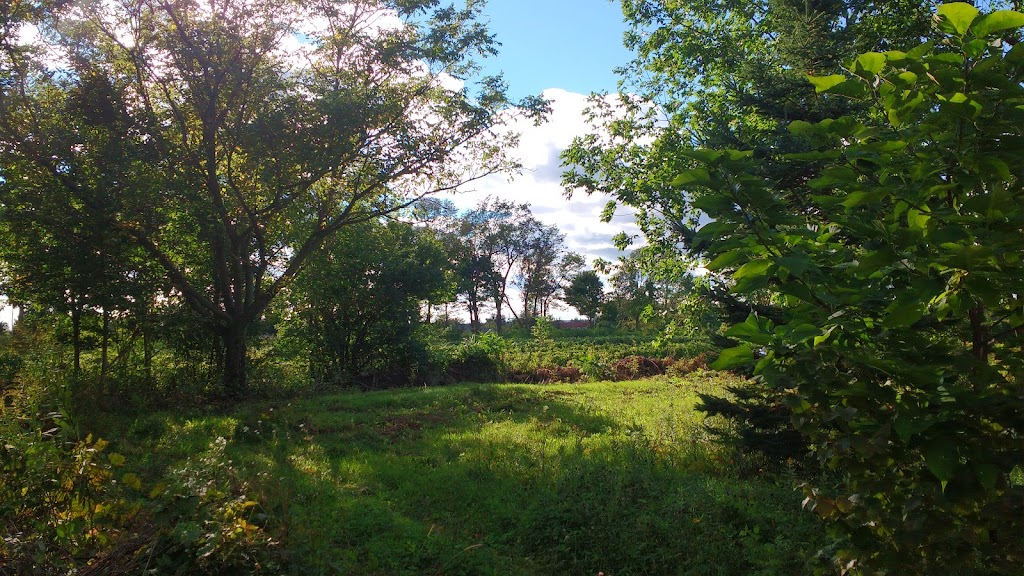Négondos Vignoble Biologique | 7100 Rang St Vincent, Mirabel, QC J7N 3N1, Canada | Phone: (450) 258-2099
