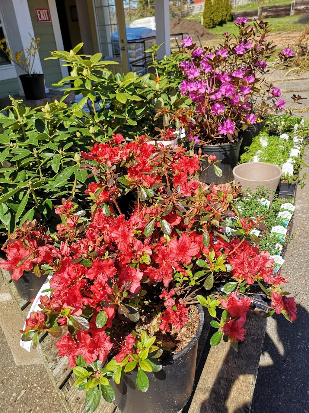 Island Pride Garden Co | 19905 All Weather Hwy, Hunter River, PE C0A 1N0, Canada | Phone: (902) 964-2444