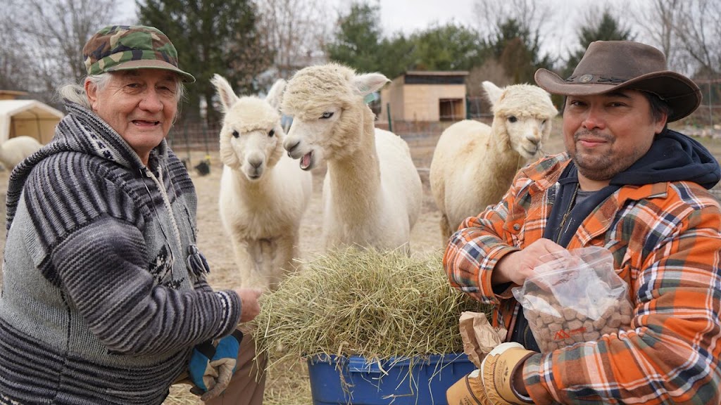 Skywatcher Alpaca Farm | 14 Ahsennénhson, Oka, QC J0N 1E0, Canada | Phone: (514) 224-3457