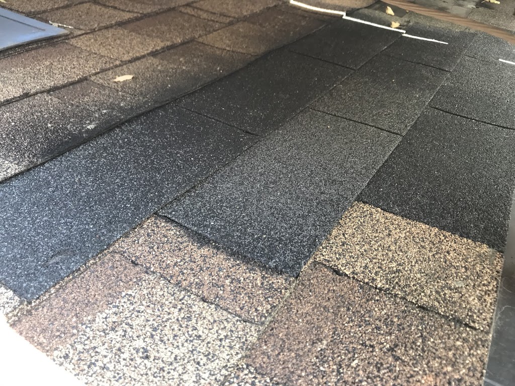 Bohemian Roofing | 450b Scarborough Golf Club Rd apt 307, Toronto, ON M1G 3V7, Canada | Phone: (647) 545-4200