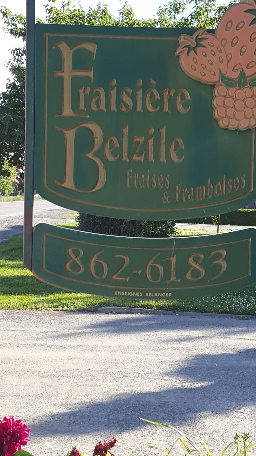 Fraisière Belzile | 19 Rte Principale, Saint-Arsène, QC G0L 2K0, Canada | Phone: (418) 862-6183