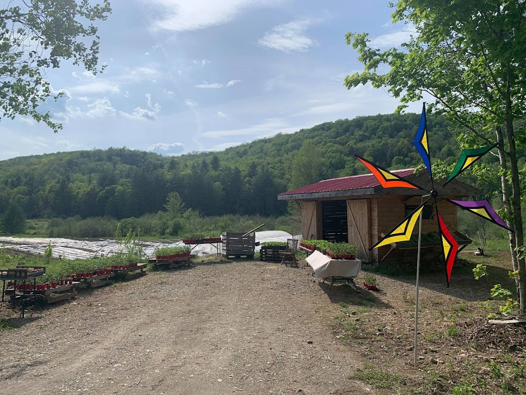 Les Jardins Bolton | 2 Rue Terrio, Bolton-Est, QC J0E 1G0, Canada | Phone: (514) 265-5354