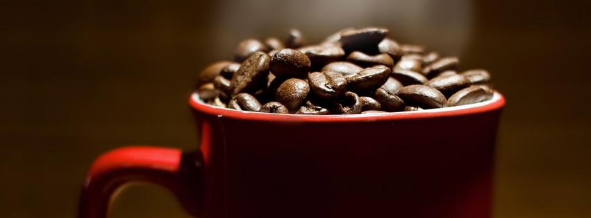 Kienna Coffee Roasters | 4049 74 Ave SE, Calgary, AB T2C 2H9, Canada | Phone: (403) 444-9300