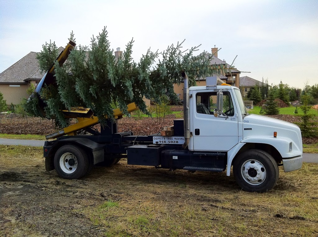 Ouimets Tree Moving & Tree Sales | 15 Orlando Dr, St. Albert, AB T8N 6V9, Canada | Phone: (780) 918-5028