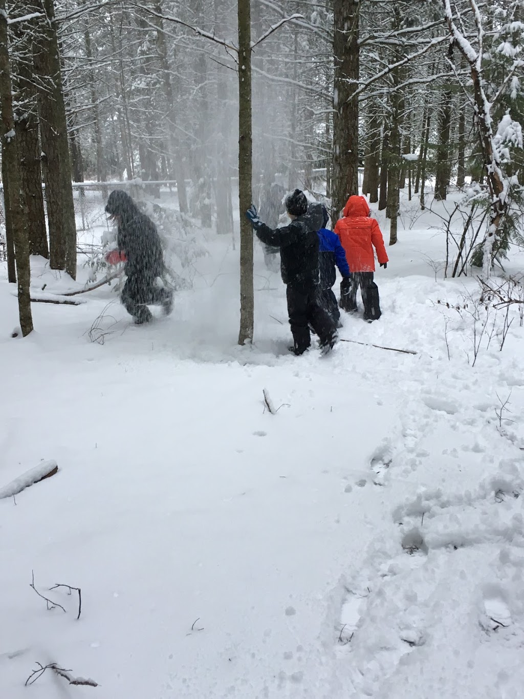 Shuswap Explorers After School Program (Sorrento) | 1135 Passchendaele Rd, Sorrento, BC V0E 2W2, Canada | Phone: (250) 803-2996