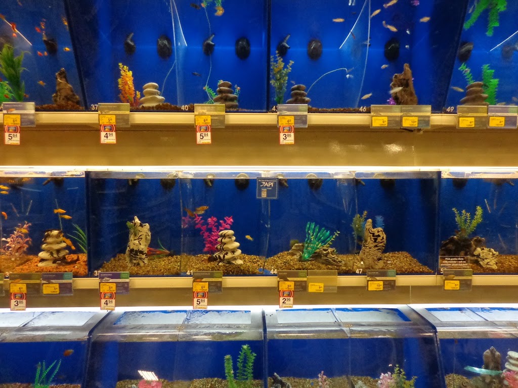 PetSmart | 1325 Main St, North Vancouver, BC V7J 3J7, Canada | Phone: (604) 924-9889