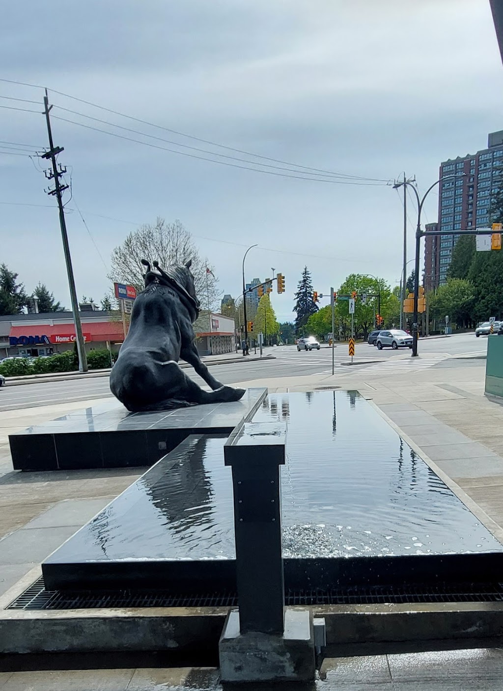 Gulf & Fraser | 7310 Kingsway #101, Burnaby, BC V3N 0G8, Canada | Phone: (604) 419-8888