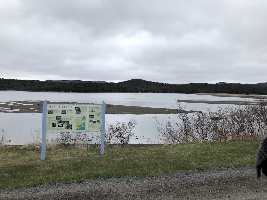 Arnold’s Cove Bird Sanctuary | Main Rd, Arnolds Cove, NL A0B 1A0, Canada | Phone: (709) 463-2323