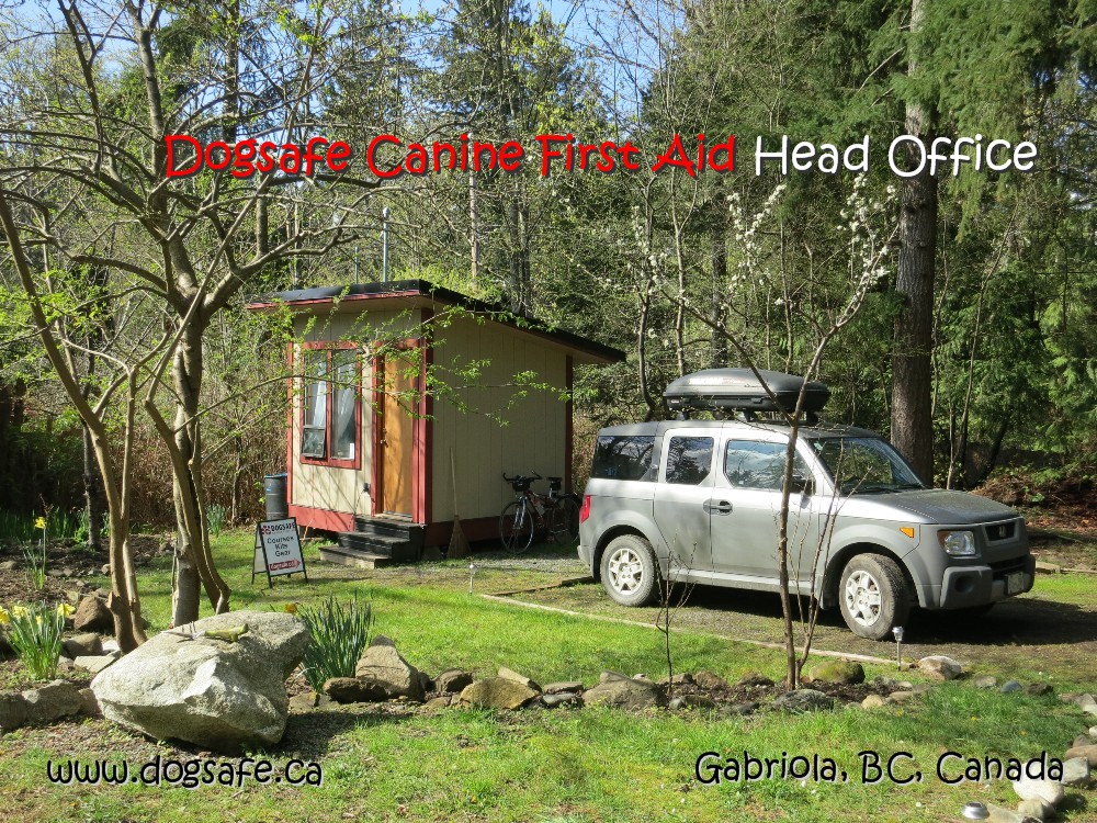 Dogsafe Canine First Aid Head Office | 686 Gallagher Way, Gabriola, BC V0R 1X3, Canada | Phone: (250) 325-0855