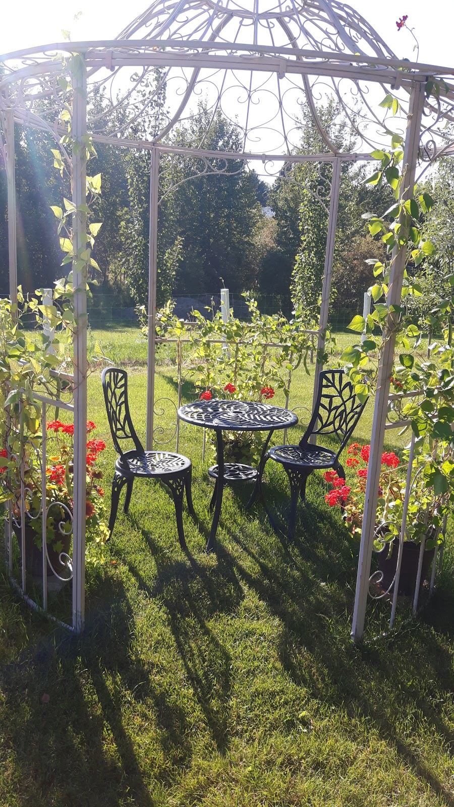 Rainer Gardens | 3021 28 Ave SW, Edmonton, AB T6X 1A5, Canada | Phone: (780) 619-2223