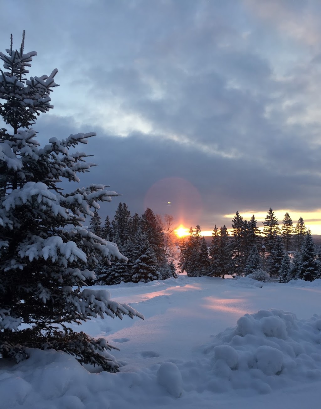 Partridge Cabins | 3 Partridge Rd, Pittsburg, NH 03592, USA | Phone: (800) 538-6380