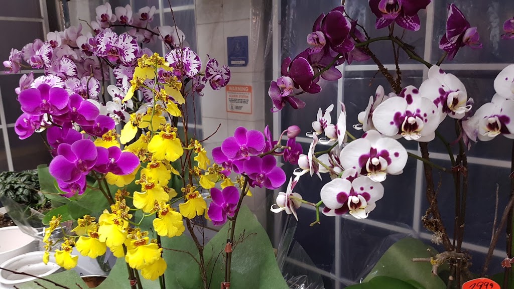 Southland Farm Market | 3008 W 41st Ave, Vancouver, BC V6N 3C9, Canada | Phone: (604) 264-0112