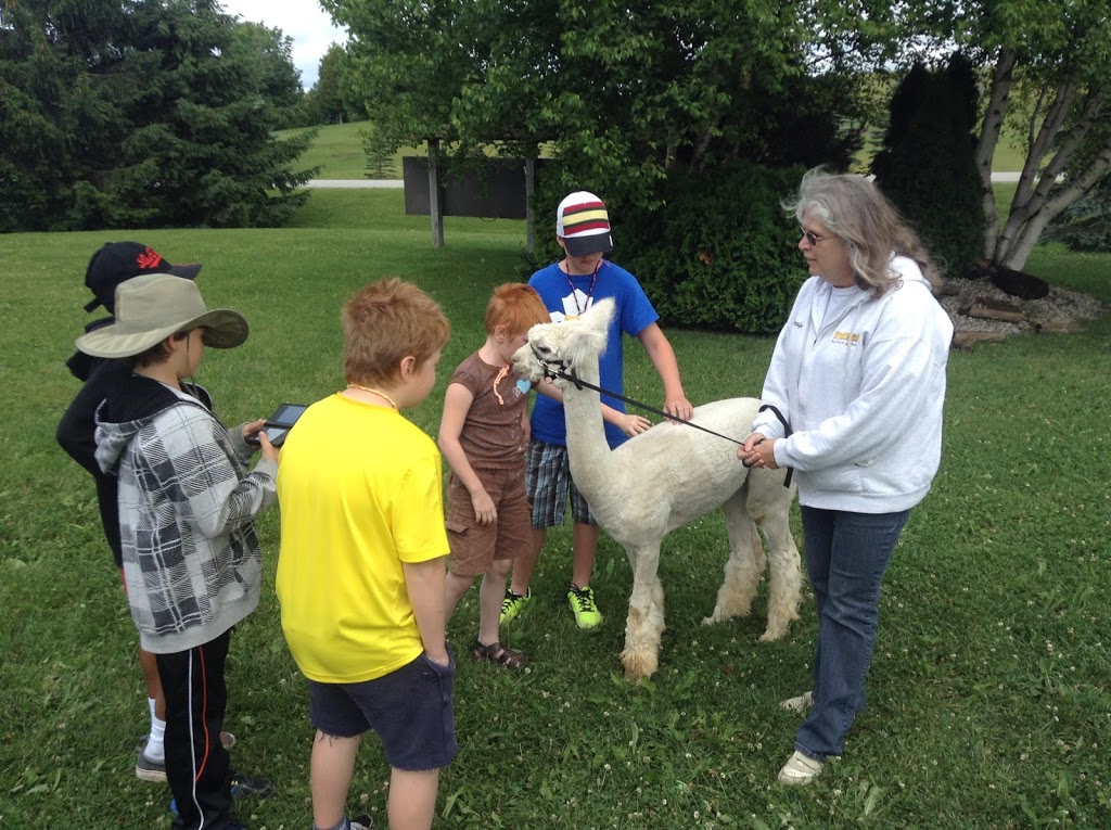 Gentle Shepherd Community Church | 426176 Concession Rd 8, Flesherton, ON N0C 1E0, Canada | Phone: (519) 924-3422
