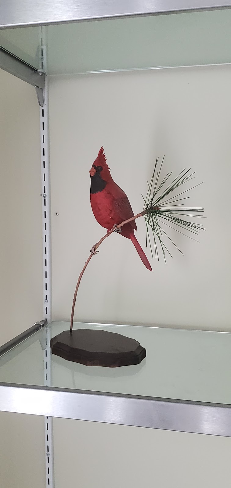 Brush To Feather | 100 Gerhardt Rd, Waubaushene, ON L0K 2C0, Canada | Phone: (705) 427-0960