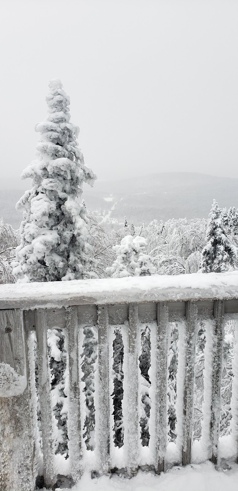Mont Foster | Chem. Paramount, Bolton-Ouest, QC J0E 2E0, Canada | Phone: (450) 297-1145