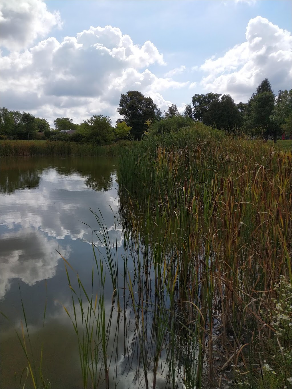 Broad Street Park | 9 Broad St, Lindsay, ON K9V 2Z7, Canada