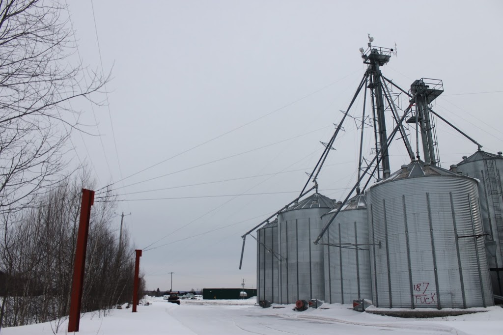Centre de Grains Tricklinie Inc | 795 Rue Laurier, Lyster, QC G0S 1V0, Canada | Phone: (819) 998-0994