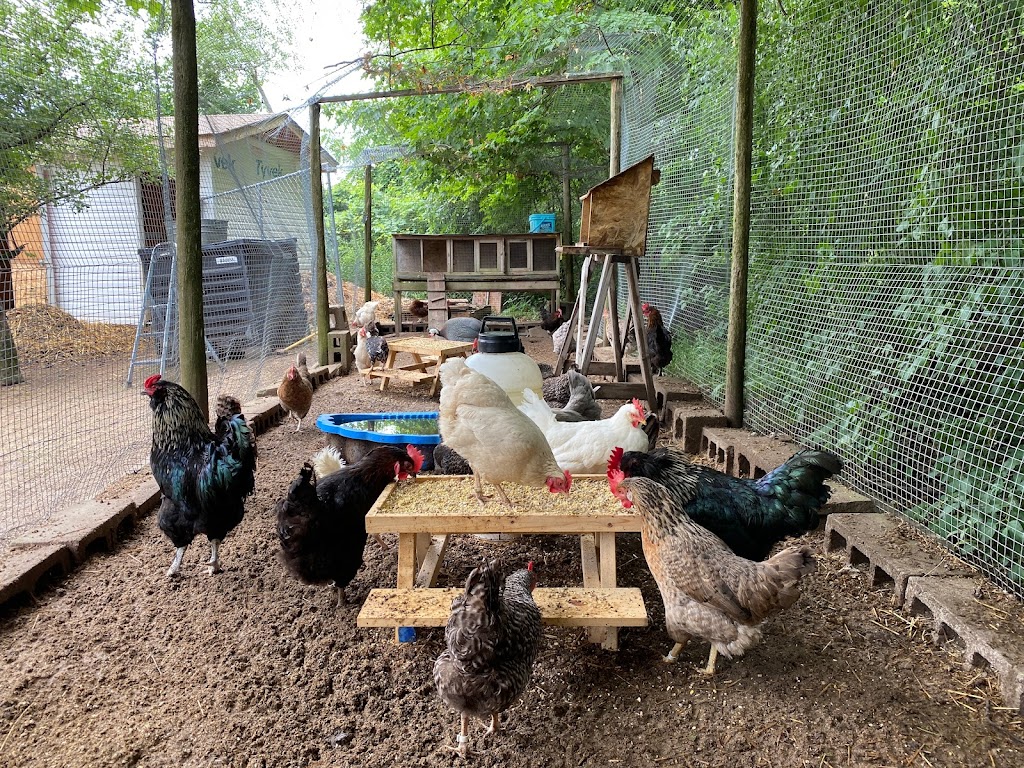 The Farmhouse on 135 Acres | 11355 Nassagaweya–Esquesing Townline, Halton Hills, ON L7J 2L7, Canada | Phone: (416) 527-3971