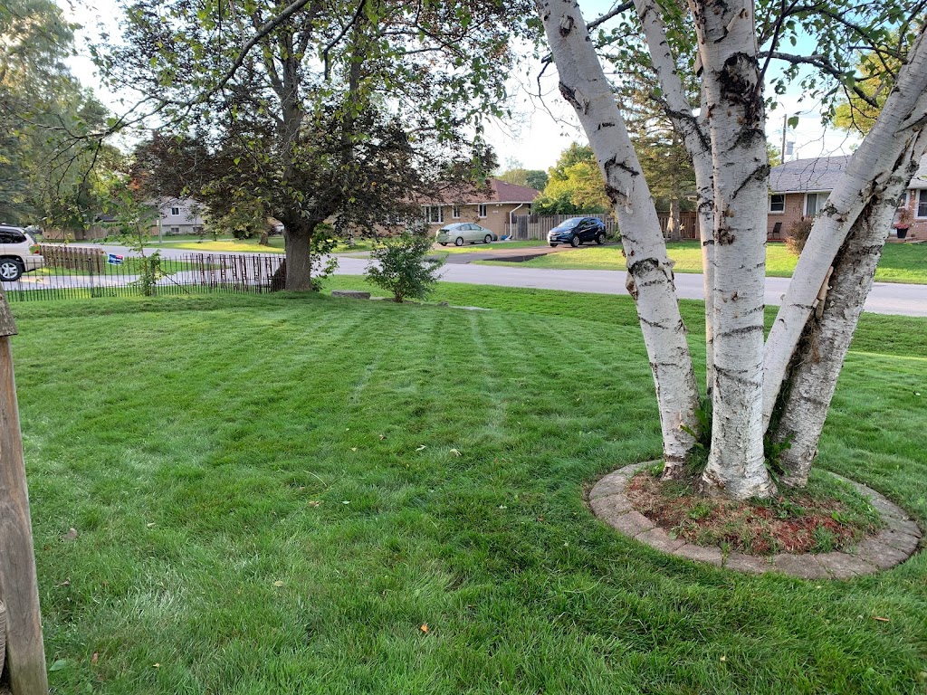Performance Lawn Care | 247 Calford St, Angus, ON L0M 1B0, Canada | Phone: (705) 410-6110